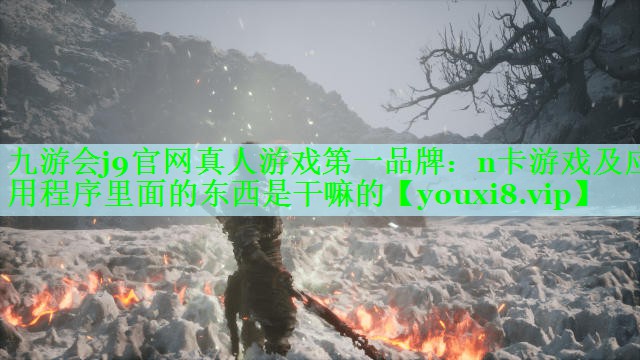 n卡游戏及应用程序里面的东西是干嘛的