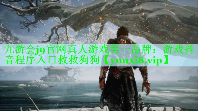 游戏抖音程序入口救救狗狗